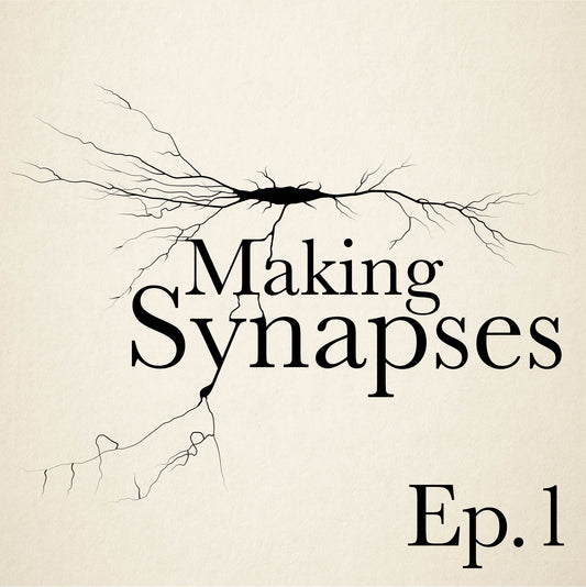 Making Synapses Ep.1: A Mechanistic look at Carbohydrates and their Mental Performance Impacts - nicesupplementco